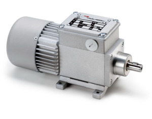 Mini Motor 直流有刷电机 直流无刷电机 交流同步电机 AC系列 - AC 100P Mini Motor 直流有刷电机 直流无刷电机 交流同步电机 AC系列 - AC 100P