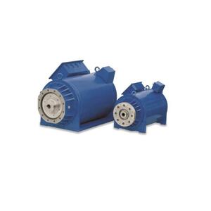 Oemer Motori Elettrici 同步电机 LTS-TB系列 - LTS-TB 200 S Oemer Motori Elettrici 同步电机 LTS-TB系列 - LTS-TB 200 S