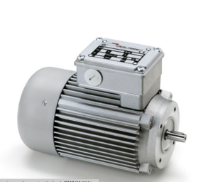 Mini Motor 直流有刷电机 直流无刷电机 交流同步电机 AM系列 - AM 100P Mini Motor 直流有刷电机 直流无刷电机 交流同步电机 AM系列 - AM 100P