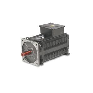 Oemer Motori Elettrici 交流异步电机 LQ系列 - LQ 100M